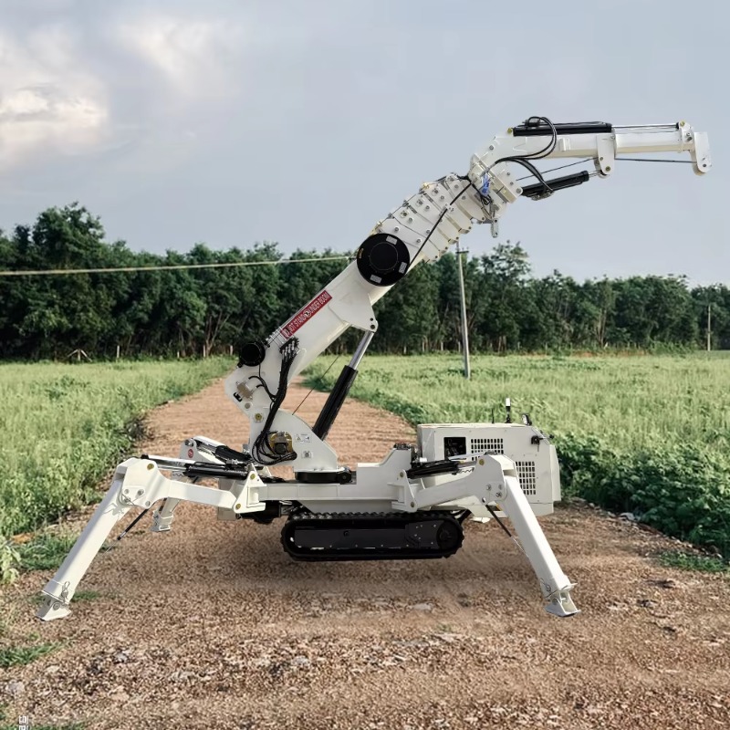 รถเครนขนาดเล็กกะทัดรัด 1.5 ตัน - Compact Crawler Boom Lift บทวิจารณ์และราคา